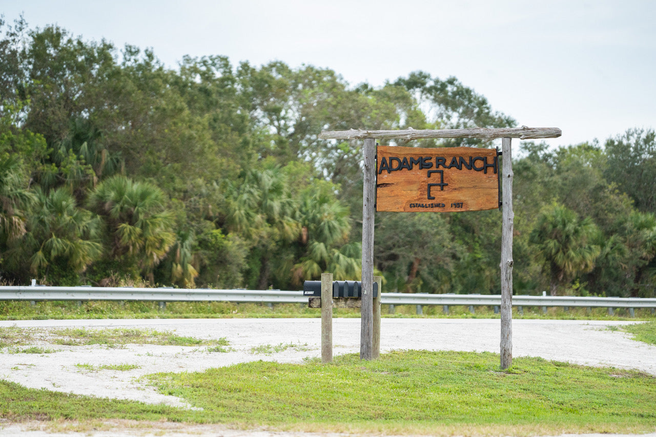 Adams Ranch Adams Ranch Natural Beef | Florida Beef | No Hormones or Antibiotics