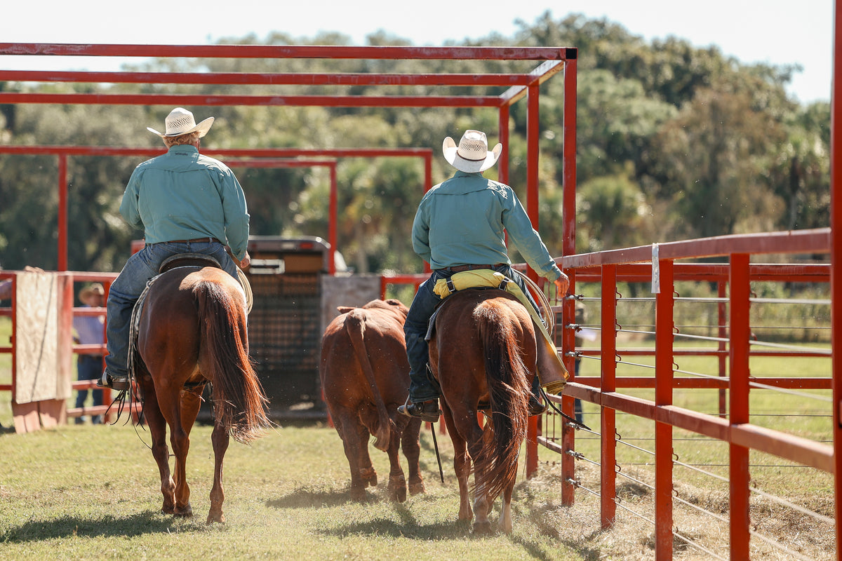 Adams Beef Ranch Adams Ranch Natural Beef | Florida Beef | No Hormones or Antibiotics