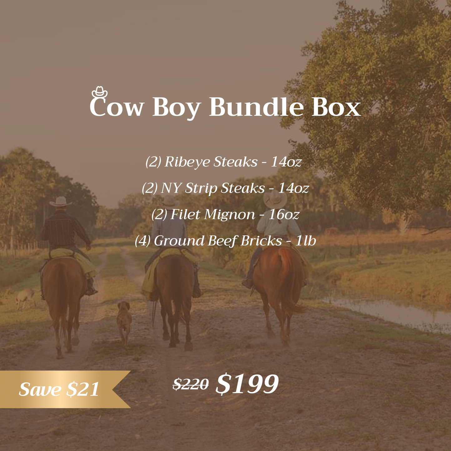 ADAMS RANCH BUNDLE BOX